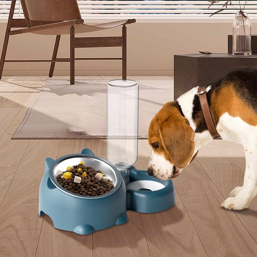 Cat & Dog Food And Water Bowl Set - 16 Degree Tilted Dish With Water Dispenser, Removable