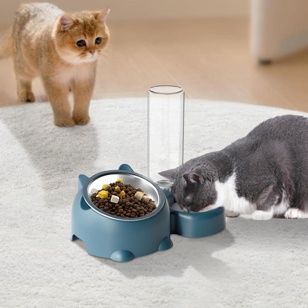Cat & Dog Food And Water Bowl Set - 16 Degree Tilted Dish With Water Dispenser, Removable