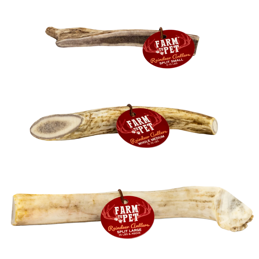 Reindeer Antler Dog Chews | Organic Chews for Dogs