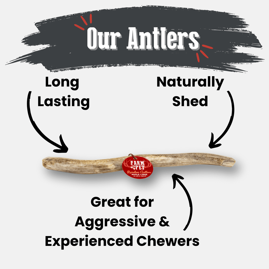 Reindeer Antler Dog Chews | Organic Chews for Dogs