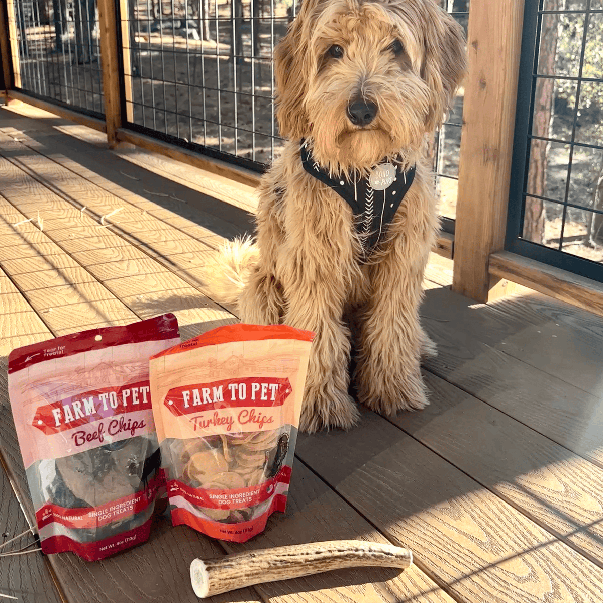 Reindeer Antler Dog Chews | Organic Chews for Dogs