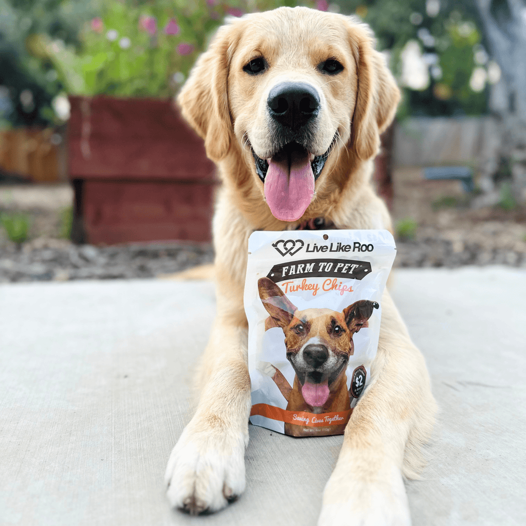Live Like Roo Turkey Chips for Dogs | Dog Treats That Give Back