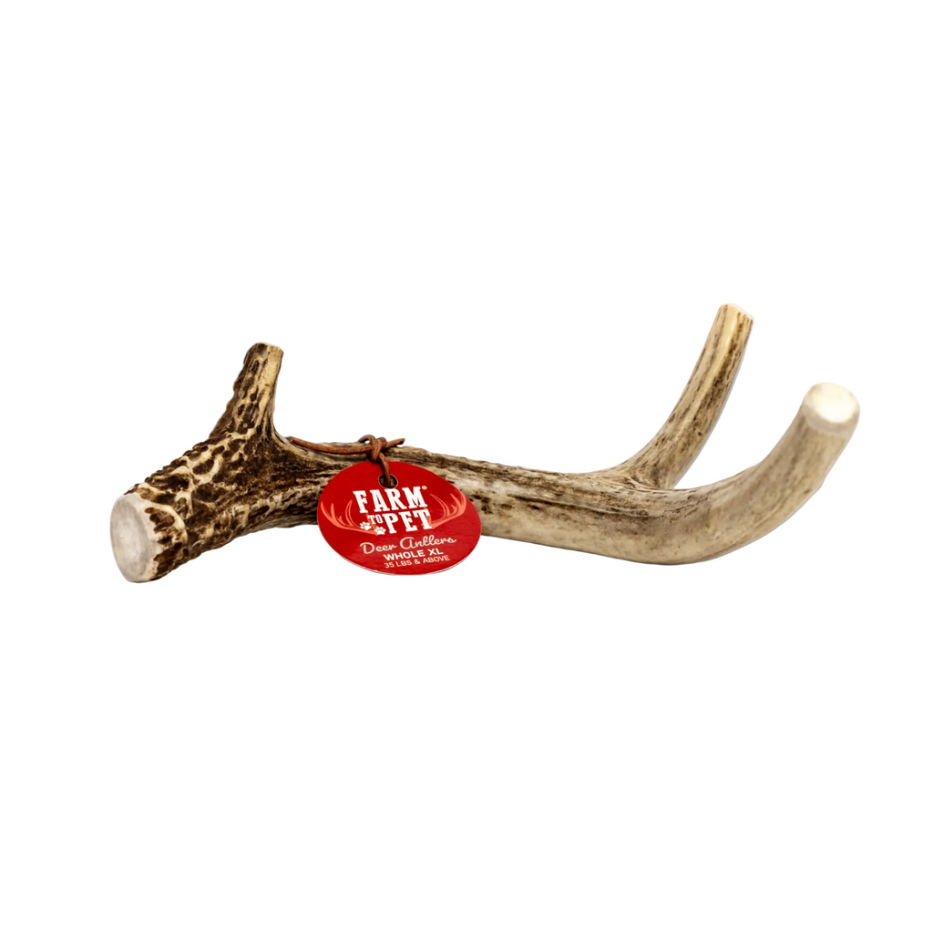 Deer Antler Dog Chews | Organic Chews for Dogs