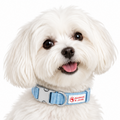 XS Dog Collar Light Blue | Barker & Jane