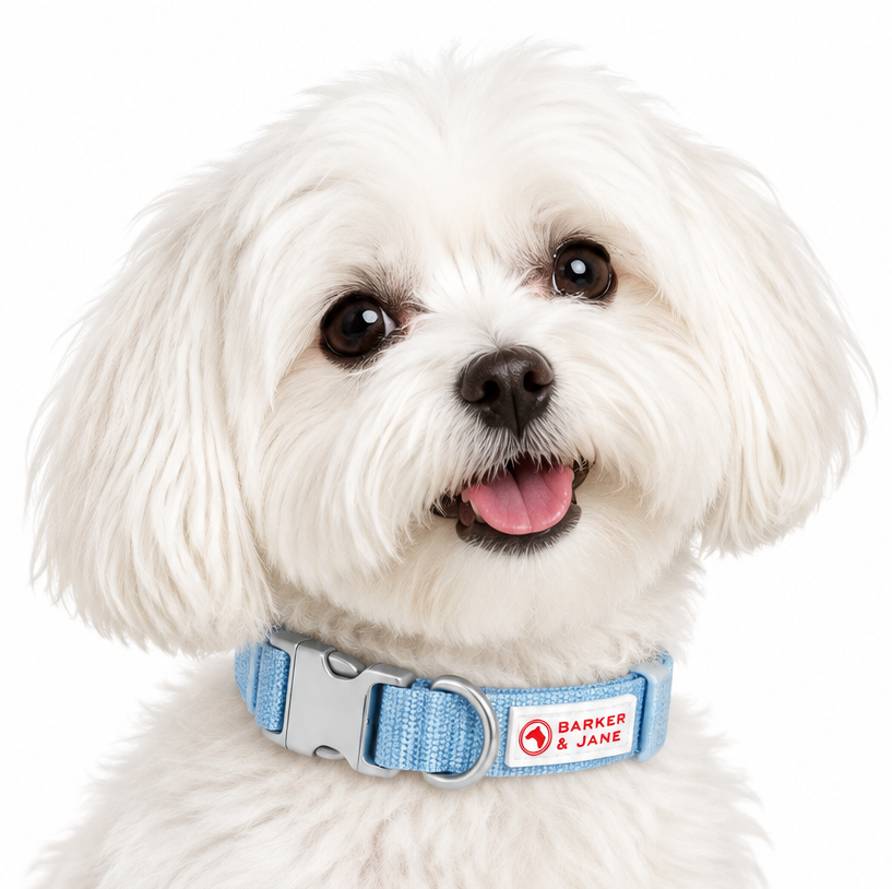 XS Dog Collar Light Blue | Barker & Jane
