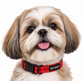 Comfort Dog Collar - Red, Size Small