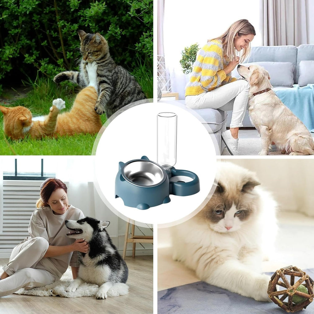 Cat & Dog Food And Water Bowl Set - 16 Degree Tilted Dish With Water Dispenser, Removable