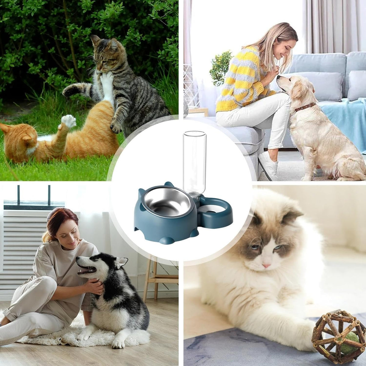 Cat & Dog Food And Water Bowl Set - 16 Degree Tilted Dish With Water Dispenser, Removable
