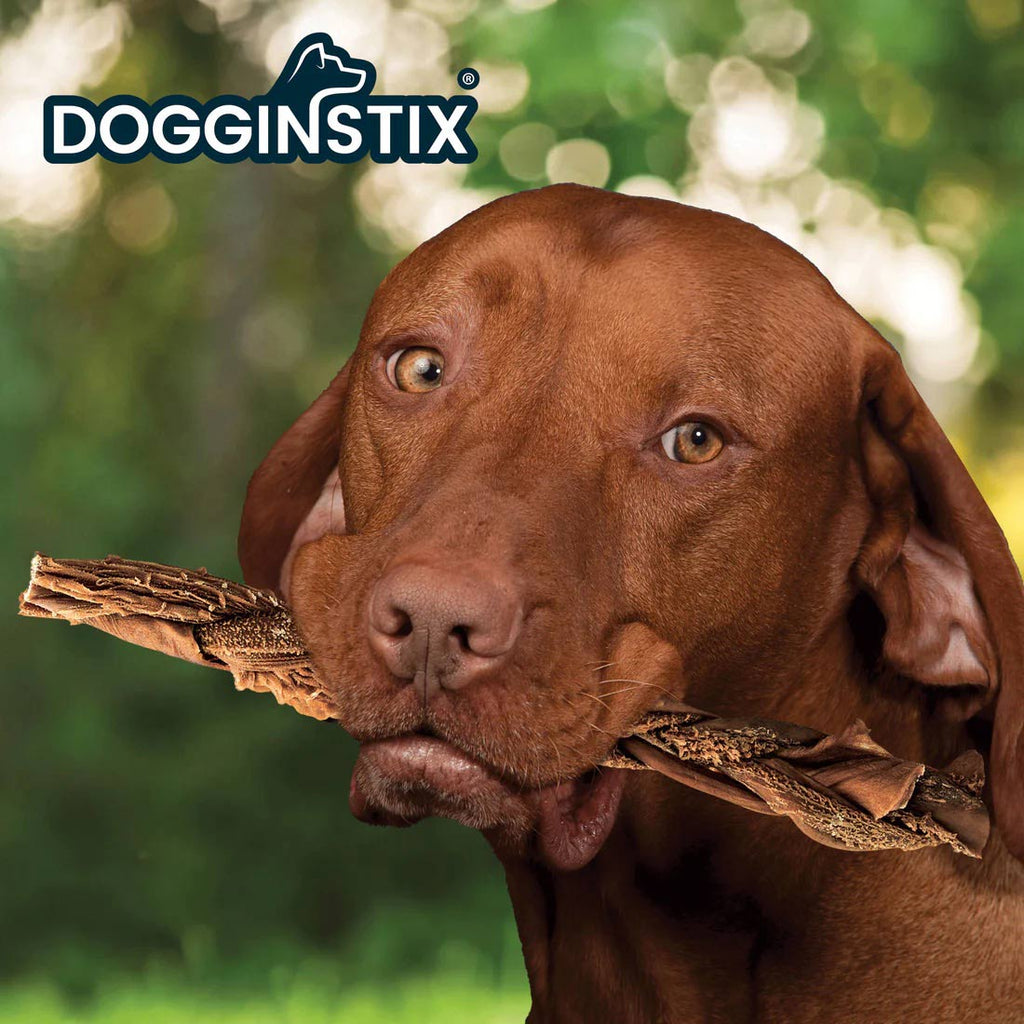 Dogginstix Braided Beef Tripe Natural Dog Chew | Digestible, Nutrient Rich, Omega 3