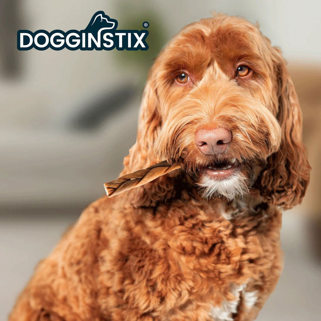Dogginstix Braided Lamb Collagen Dog Chew | Long Lasting, Digestible, High Protein Rawhide Alternative