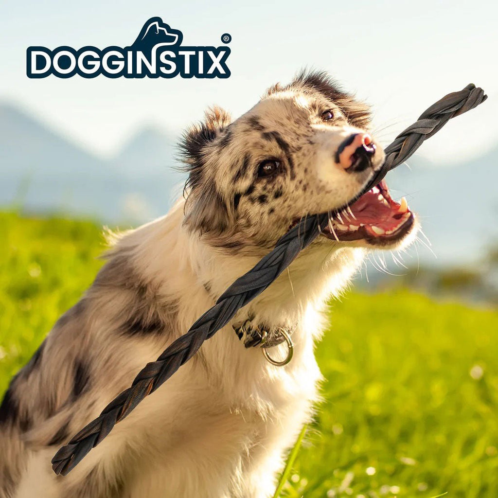 Dogginstix Braided Lamb Collagen Dog Chew | Long Lasting, Digestible, High Protein Rawhide Alternative