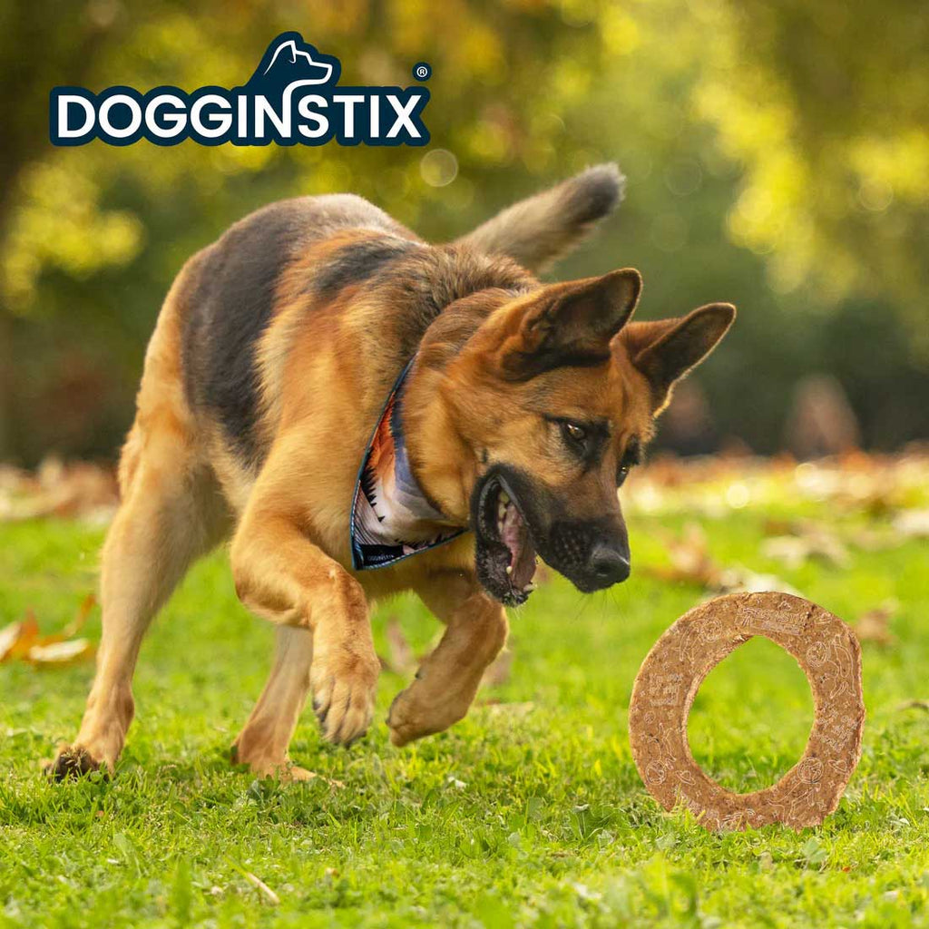 Dogginstix Lamb Collagen Cosmic Donut Dog Chew & Toy | Natural, Grass-Fed, Low Fat