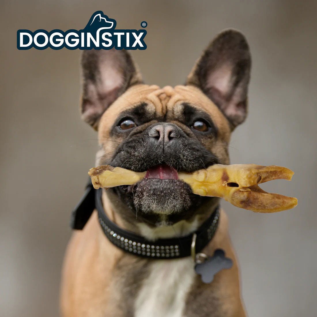 Dogginstix Lamb Foot Chew Dog Treat | Four Treats in One, Ideal for Small to Medium Dogs