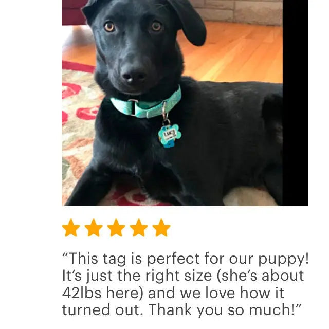 Pet Name Tag | Mint Navy Custom Collar Tag - Tag Chevron Pattern