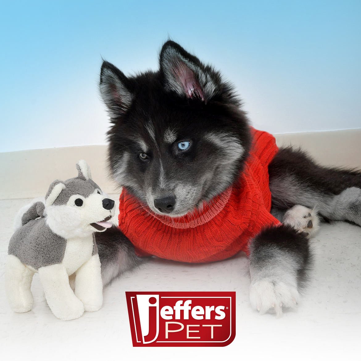 Animal Cuddlers Plush Squeaky Dog Toys